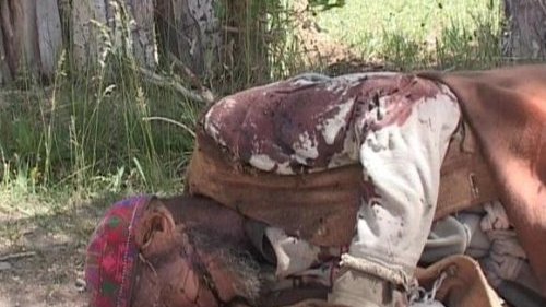 AIHRC grave concern about armed conflict between Kochies and native inhabitants of Behsood district of Maidan Wardak 