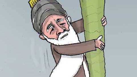 باز هم قانونی و سیاف