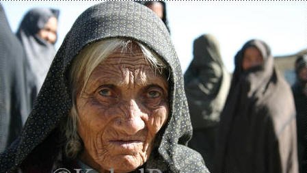 امسال كوچی گری در ولایت دايكندی غايله آفريد!