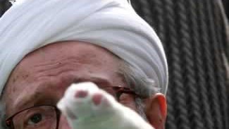 این ریش درازان سنا که به ریش خود می خندند! 