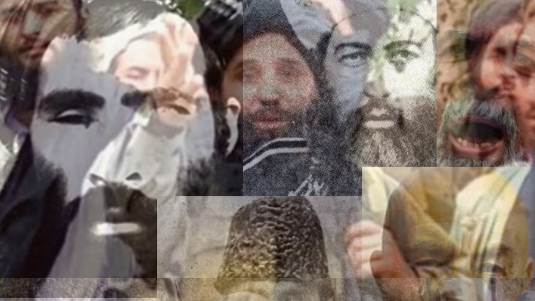 سوگُلی آمُوختَه خور و موم صفت
