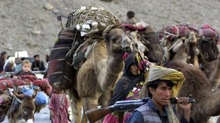 A declaration & petition for action regarding the invasion of the Taliban under cover of the Kochies against the national interest in Hazarajat, Afghanistan