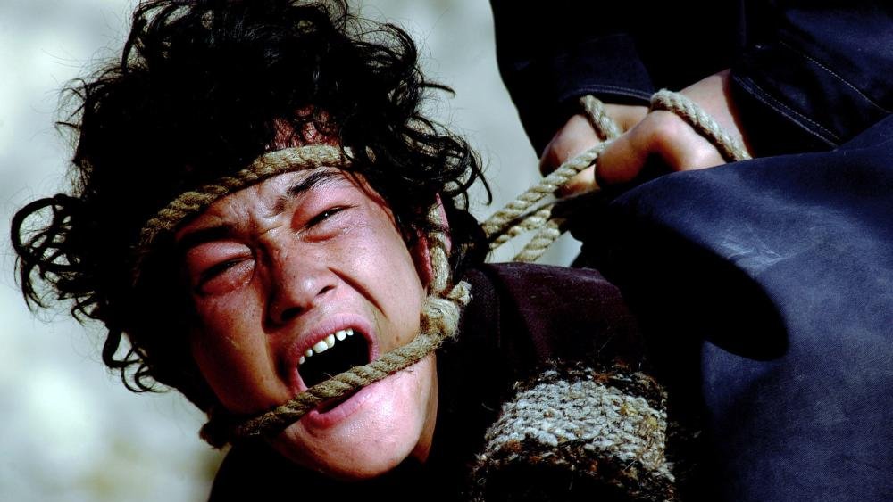 Between cynicism and child exploitation: the “Makhmalbaf Iranian New Wave”