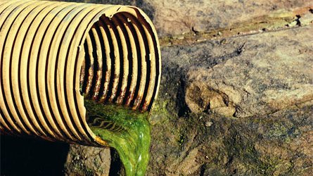 U.S. Sinks Into Pit of Slime to Negotiate with the Taliban