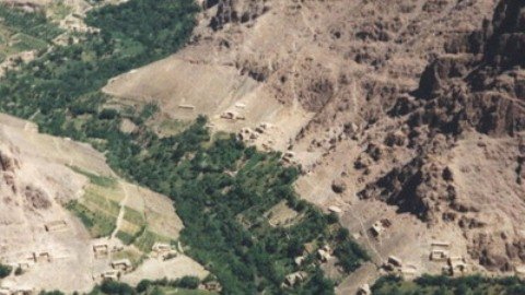 طالبان 17 جوان دایکندی را سر بریدند