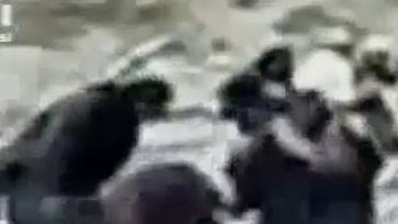 صحنه هایی از سنگسار یک زن توسط جنایتکاران طالب