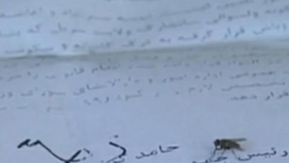 جنایتی دیگر در افغانستان