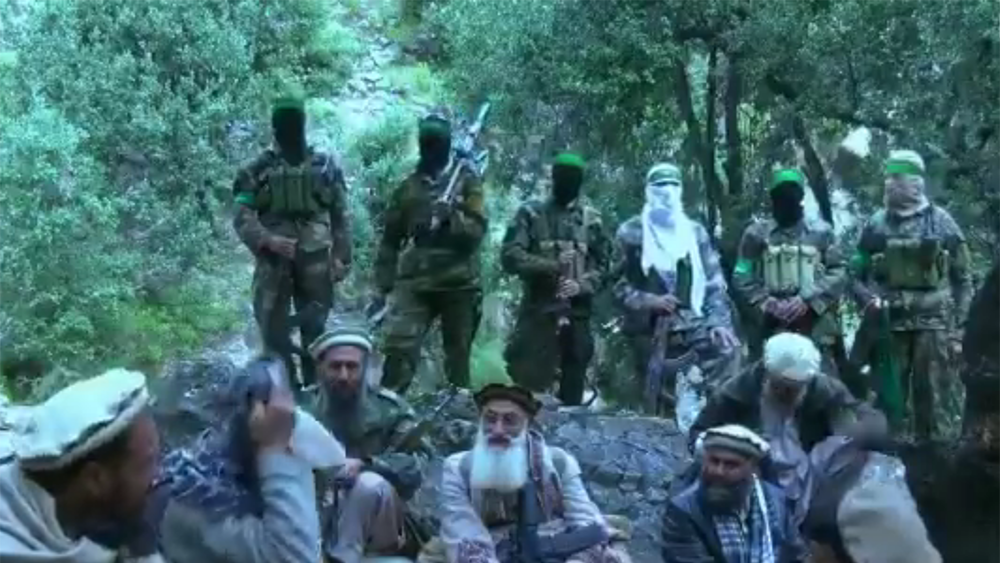 Afghan Foreign Fighters Heavy Presence in Syria and Yemen
