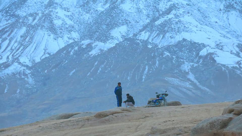 شامگاه نیلی، هزارستان