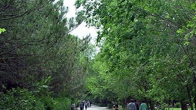 دست توانای تندروان در دانشگاه‌ کابل