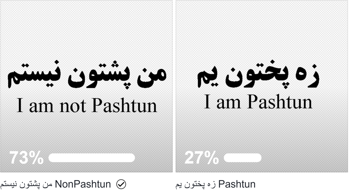 Are Pashtuns really the majority in so-called country Afghanistan?