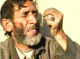 زندگی با کژدم