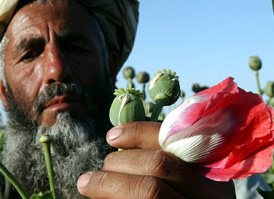 بازار پادشاه هرويين رونق بيشتر می گيرد!