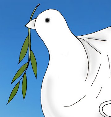 بدون شرح