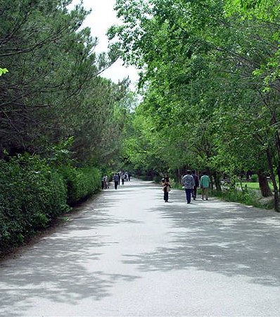 دست توانای تندروان در دانشگاه‌ کابل