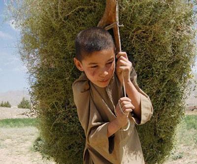 کودکی در کاپیسا!