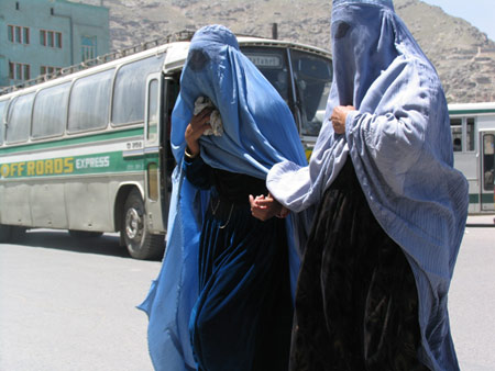Abolishing women's rights: revisiting the Afghan Parliament's "Shiite Family Personal Status (Rape) Law"