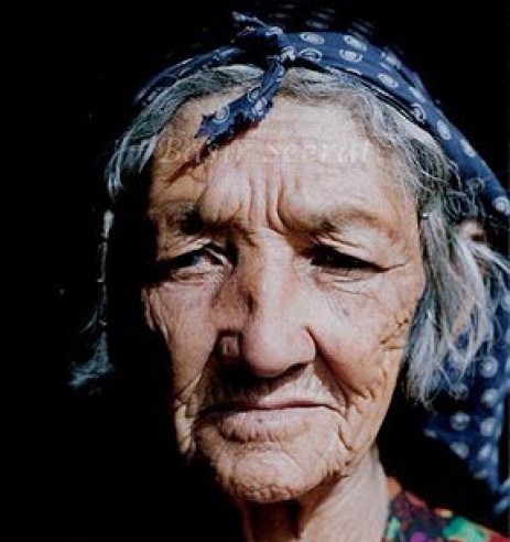 یادی از آبی میرزا یا گل صد برگ مالستان