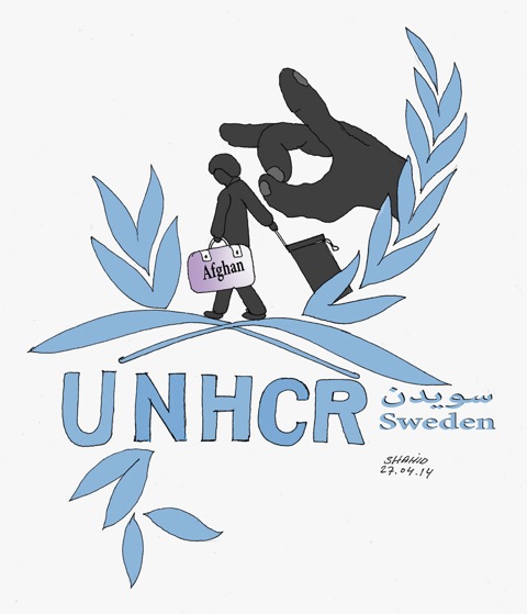 انتخابات، یو ان اچ سی آر و سیلاب در جوزجان، سرپل و بادغیس