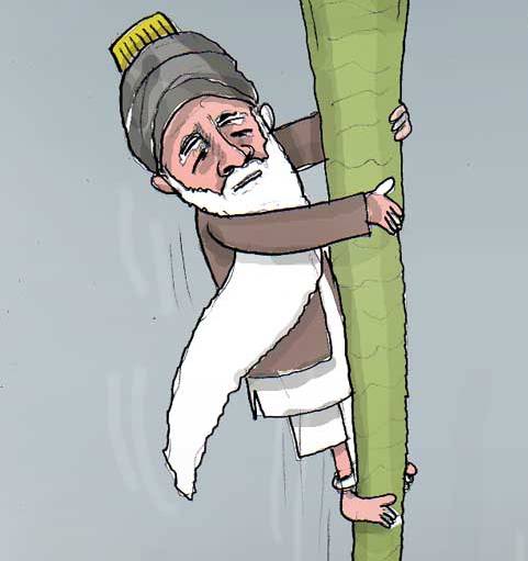 باز هم قانونی و سیاف