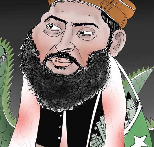 قطب الدین و پلان صلح بادارانش