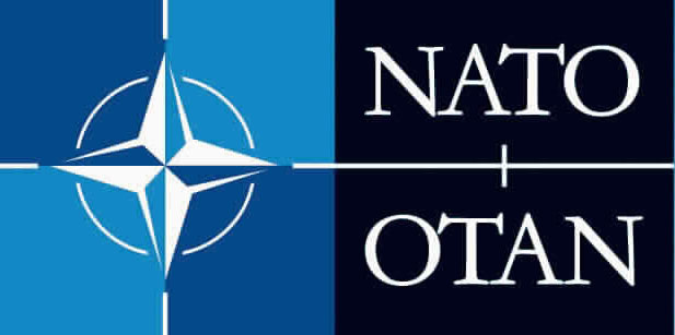 Why Did NATO Kill Two Afghan Boys?