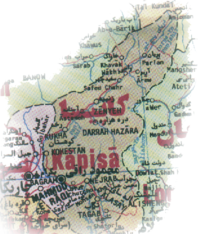 رنگ خون انیسه هم سرخ بود، درست مثل خون ملاله