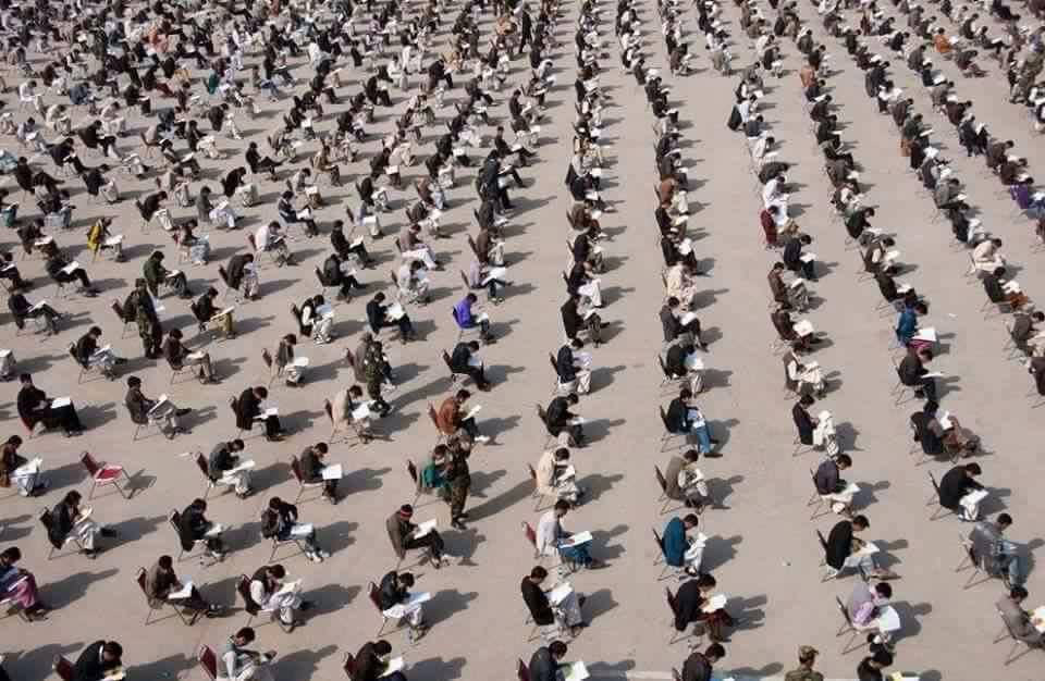Who is afraid of education?